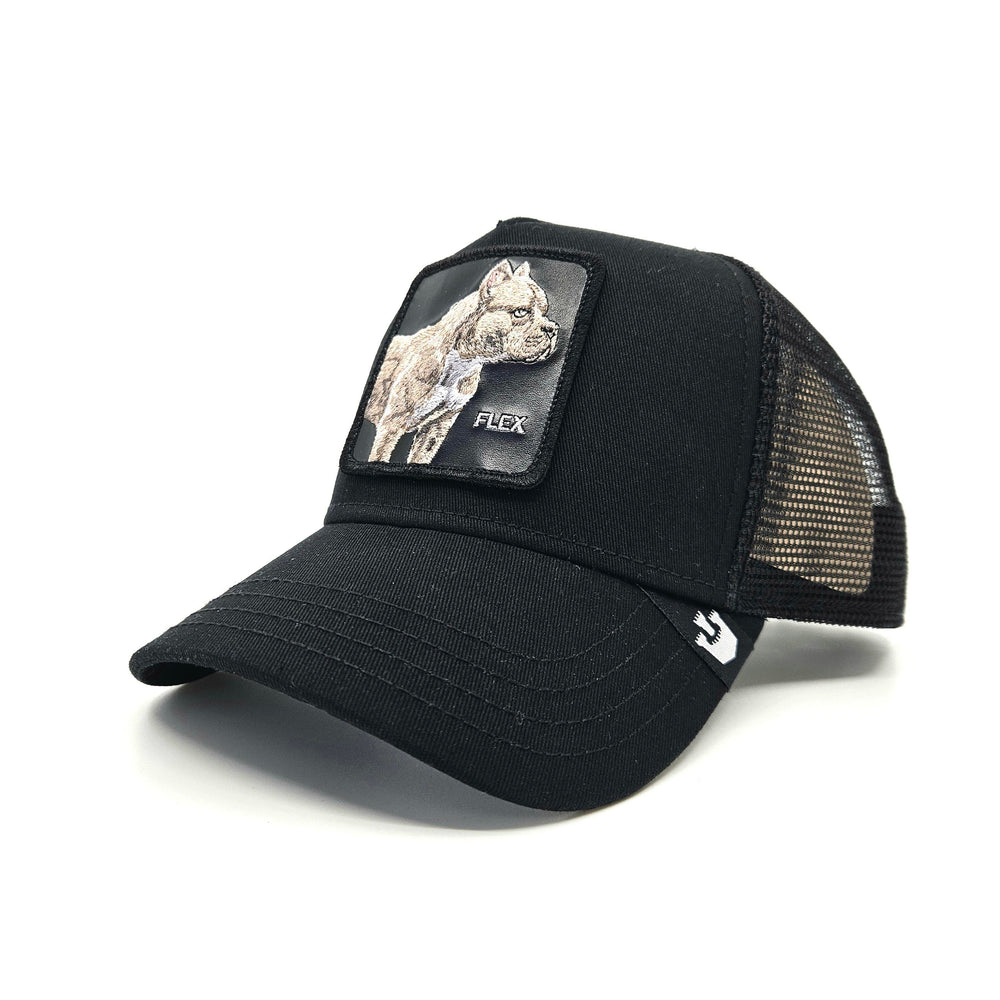 Goorin Bros - The Flex Pitbull Trucker Cap in Black | Buster McGee