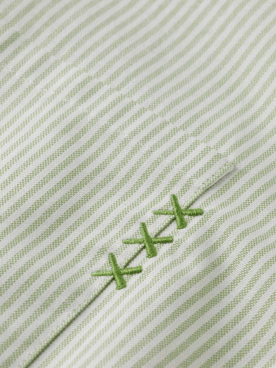 Scotch & Soda Striped Oxford Shirt in Pistachio Stripe | Buster McGee