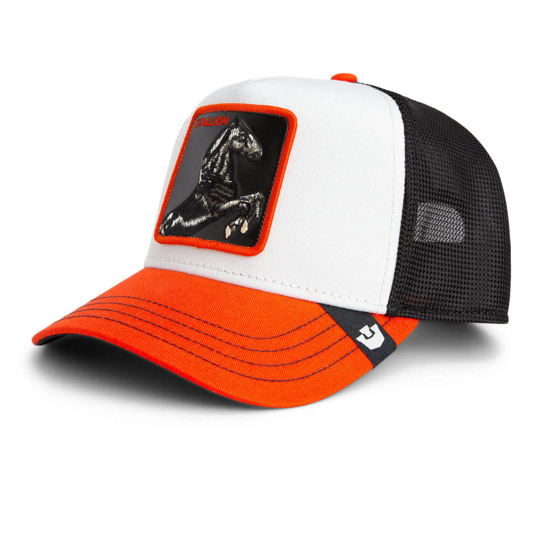 Goorin - The Tricolor Stallion Trucker Cap in Multi | Buster McGee