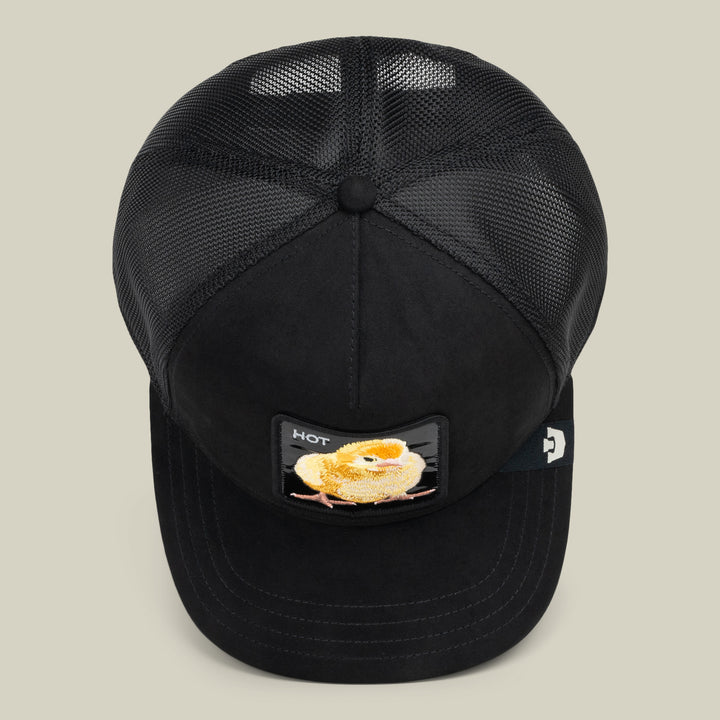 Goorin - Black Out Chick Trucker Cap in Void