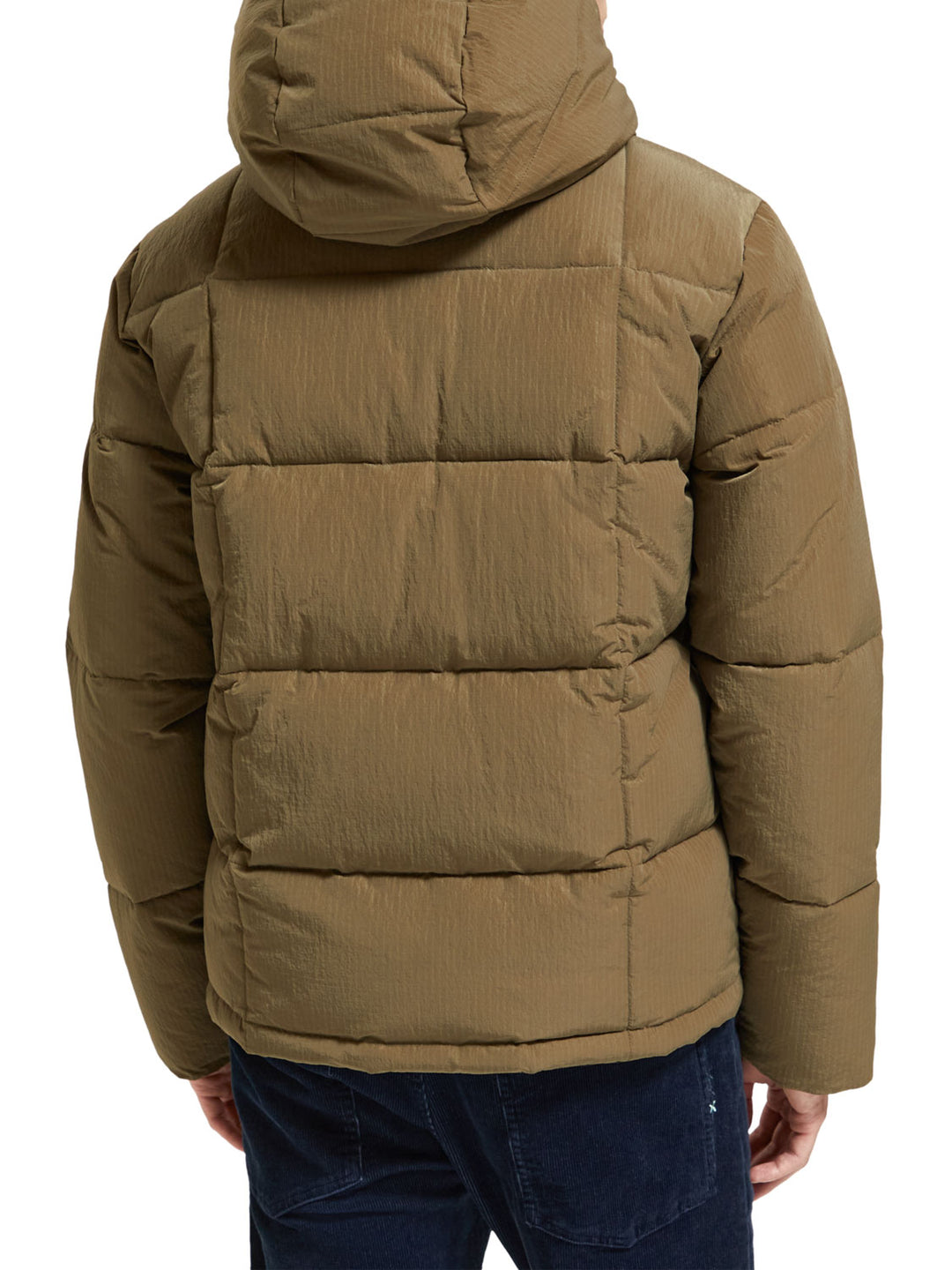 Scotch & Soda - Hooded Puffer Jacket in Khaki | Buster McGee