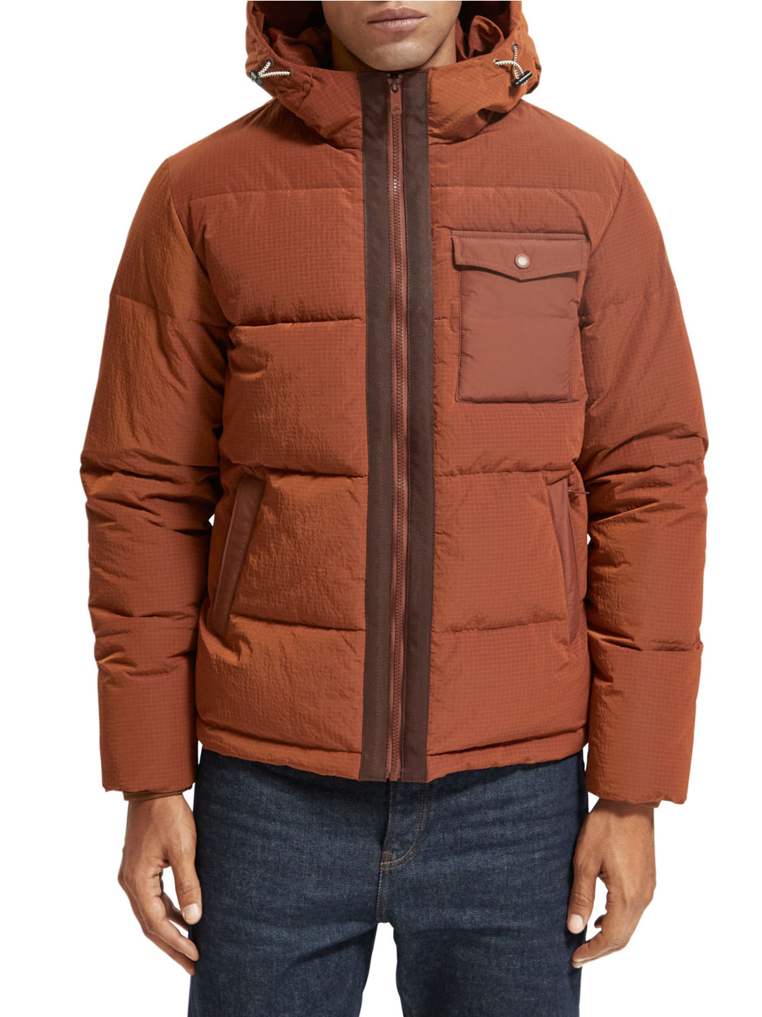 Scotch & Soda - Hooded Puffer Jacket in Deep Toffee | Buster McGee