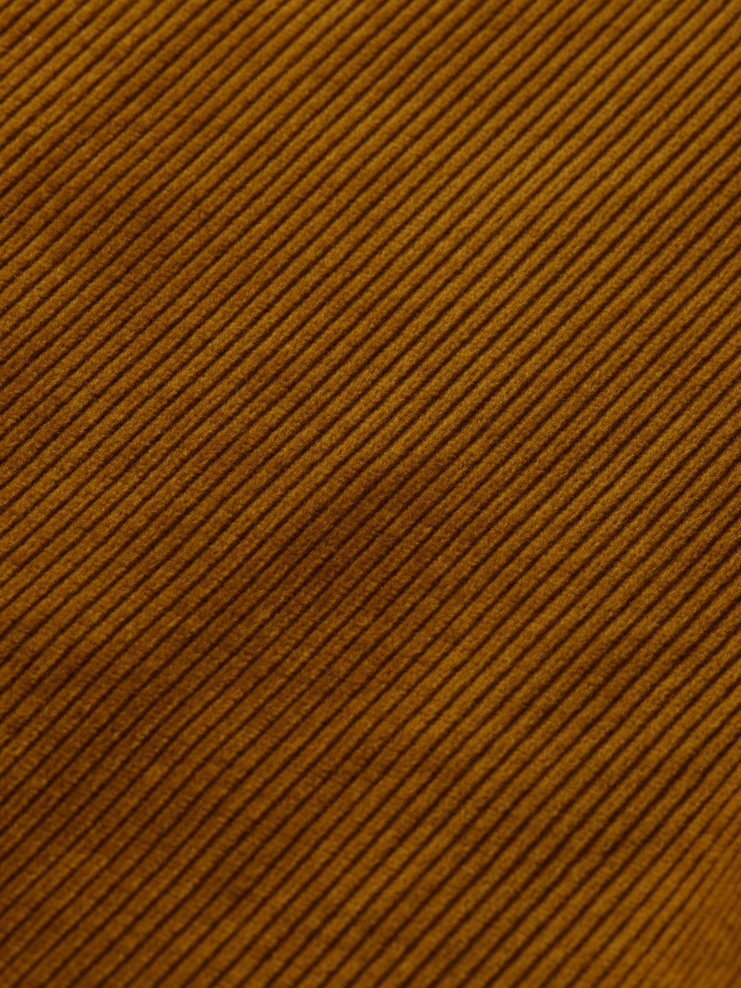 Scotch & Soda Corduroy Shirt in Golden Rust | Buster McGee