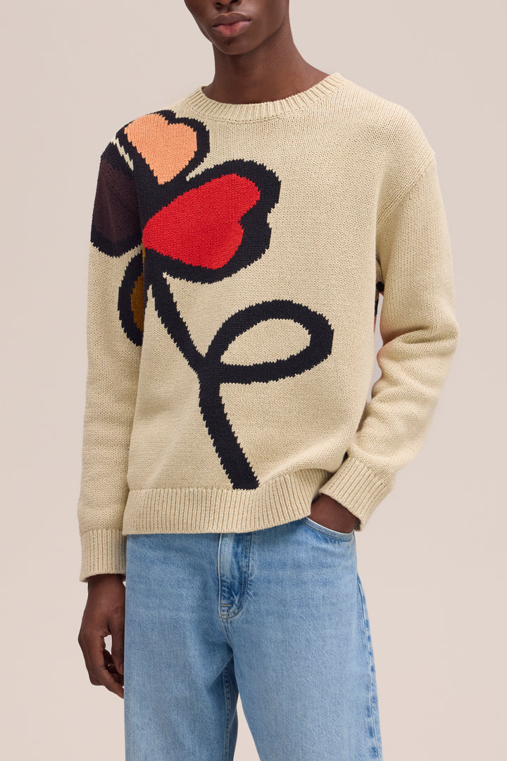 NN07 Todd 60029 Chunky Crewneck Sweater in Ecru | Buster McGee