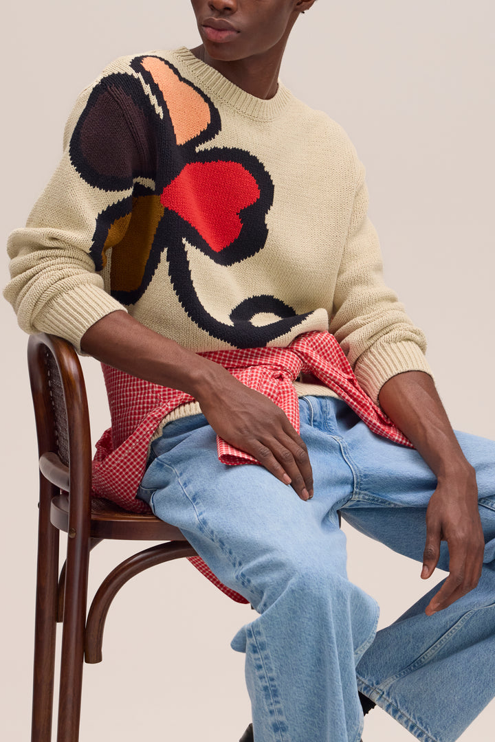 NN07 Todd 60029 Chunky Crewneck Sweater in Ecru | Buster McGee