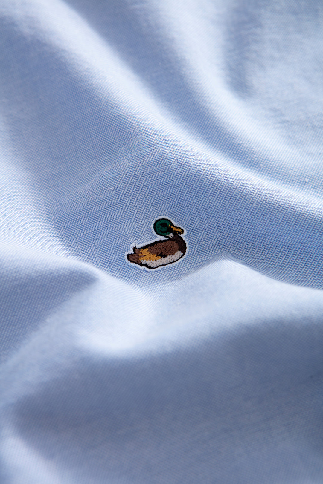 Edmmond Duck Shirt Oxford in Plain Light Blue (FW26)
