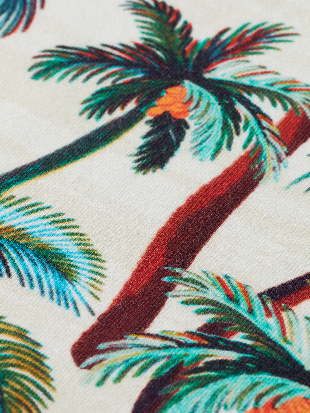Printed Sweatshirt with Allover Palm Tree Print | Buster McGee