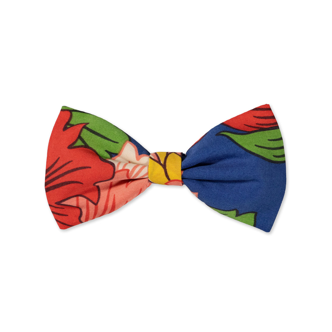 Parisian with Liberty Modern Dandy Bow Tie | Buster McGee