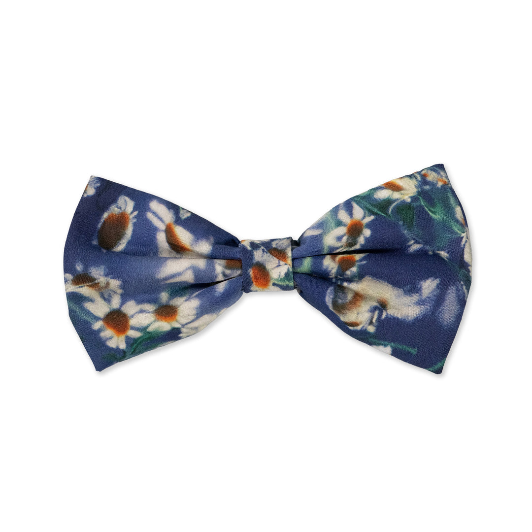 Parisian with Liberty Baba Bow Tie | Buster McGee