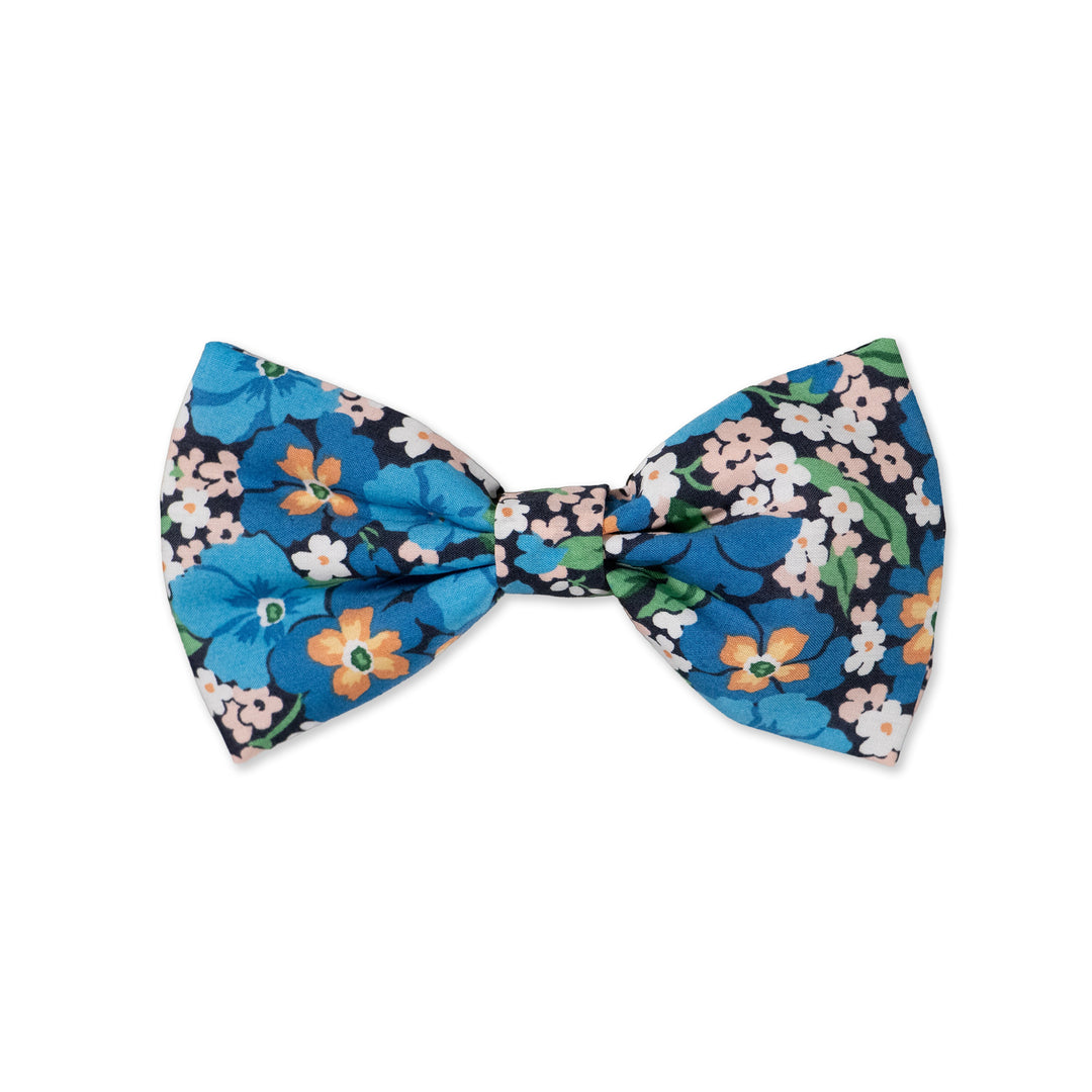 Parisian with Liberty Gisou Bow Tie | Buster McGee